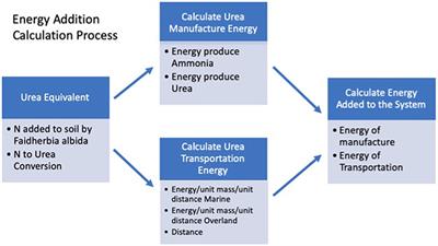 Energy and Climate Change Mitigation Benefits of Faidherbia albida Agroforestry in Ethiopia